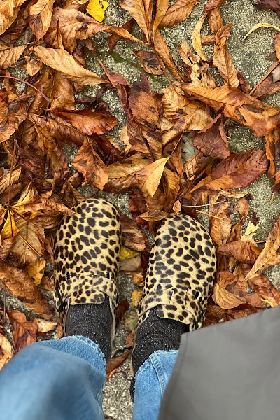 Scholl - Sabots Leopard Yena (2)